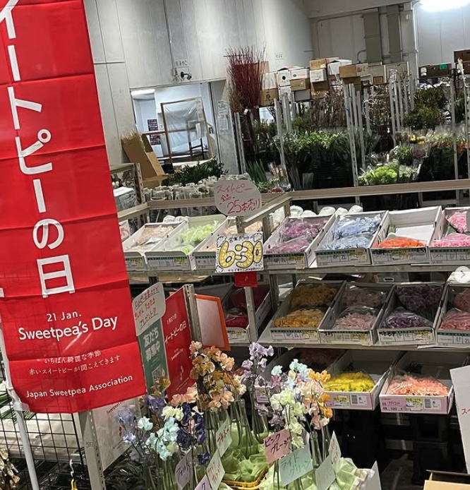私たちについて